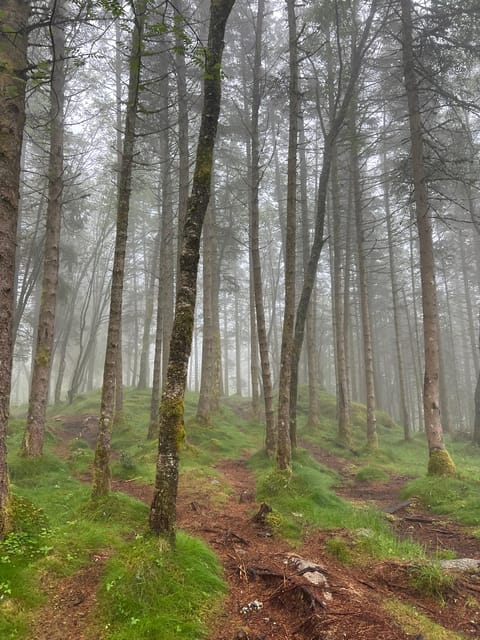 Bergen Magical Nature Tour | ViFlowExperience - Snacks, a warm drink, and the High Altitude Drink