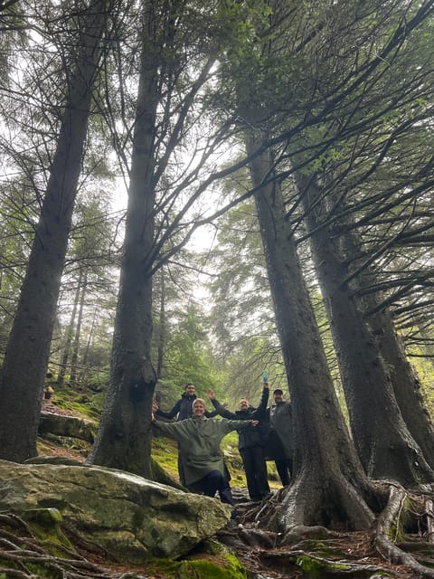 Bergen Magical Nature Tour | ViFlowExperience - Timing, language, and practical planning