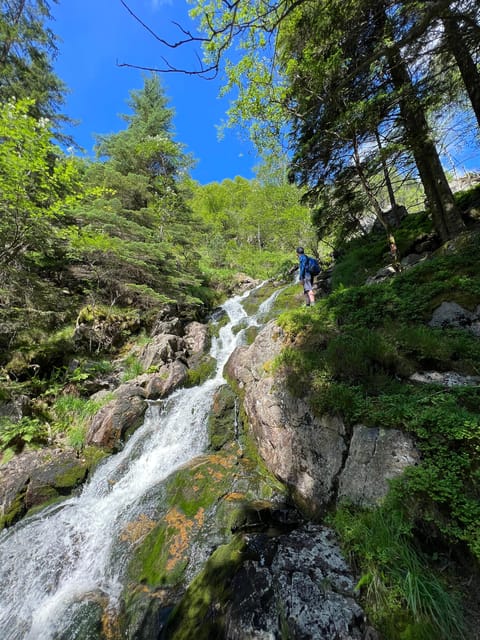 Bergen Magical Nature Tour | ViFlowExperience - Should you book the Bergen Magical Nature Tour?