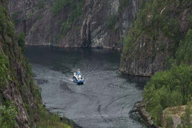 Bergen: Mostraumen Fjord Cruise - Wildlife and the limits of what you may see
