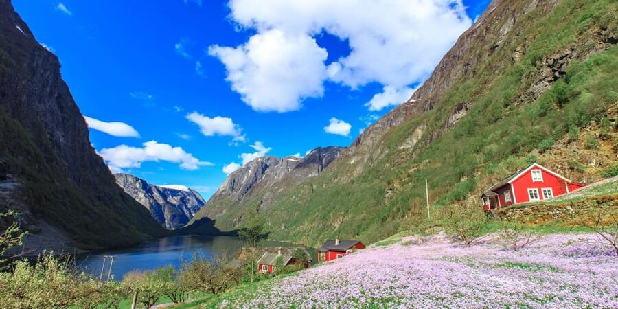 Bergen: Nærøyfjorden, Flåm, and Stegastein Guided Bus Tour - Key points at a glance