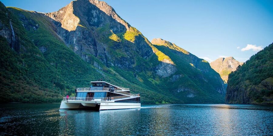 Bergen: Nærøyfjorden, Flåm, and Stegastein Guided Bus Tour - Gudvangen and the road toward Stegastein