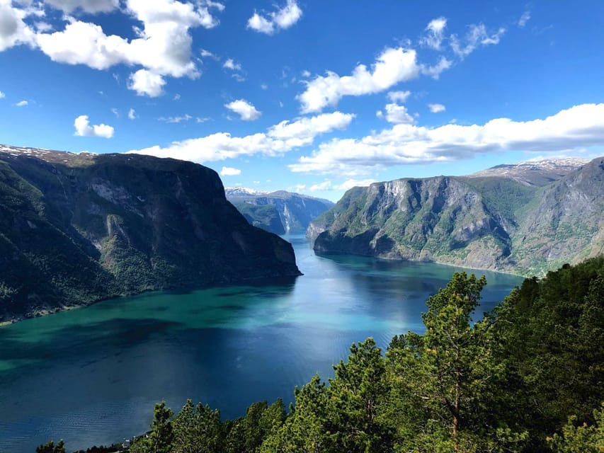 Bergen: Nærøyfjorden, Flåm, and Stegastein Guided Bus Tour - Stegastein, a high viewpoint over the fjord