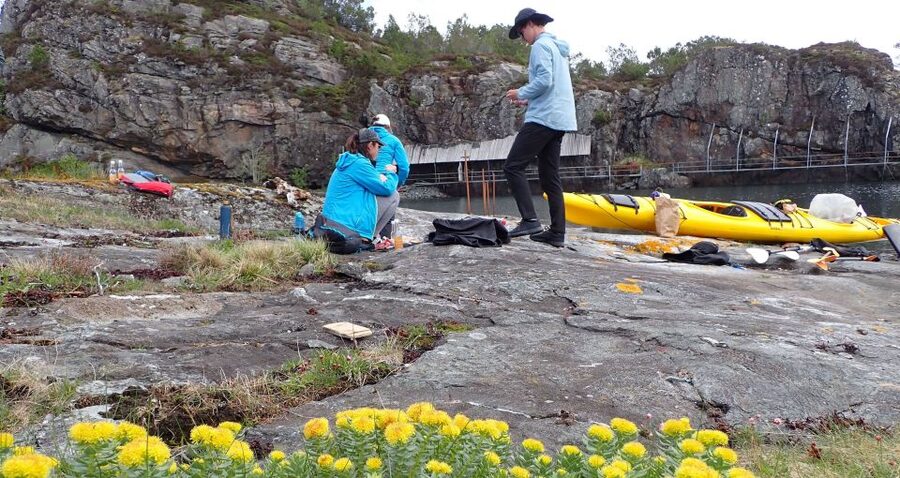 Bergen: Øygarden Islets Guided Kayaking Tour - Three hours among Øygarden’s islets