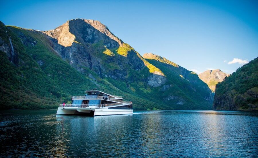 Bergen: Private Day Tour, Nærøyfjord Cruise and Flåm Railway - Riding the Flåm Railway to Myrdal