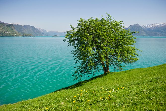 Bergen: Private Full-Day Roundtrip to Hardangerfjord with cruise - Leaving Bergen on Highway 7