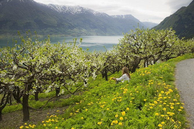 Bergen: Private Full-Day Roundtrip to Hardangerfjord with cruise - Crossing Hardangerfjord Bridge