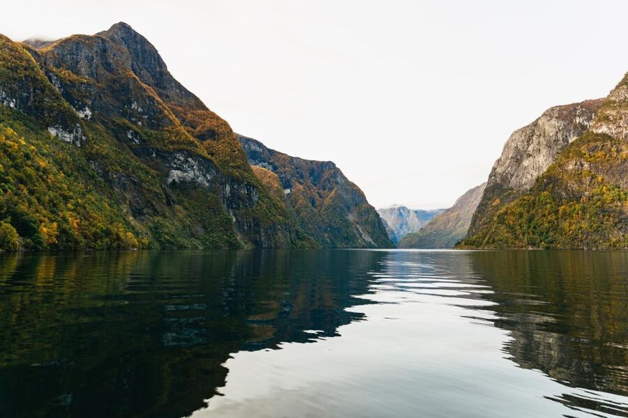 Bergen: Self-Guided Round-Trip Full-Day Excursion - Is $493 a fair price?
