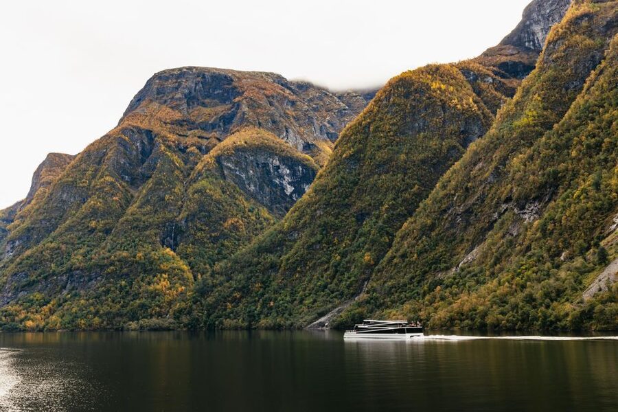 Bergen: Self-Guided Round-Trip Full-Day Excursion - Riding the Flåm Railway to Myrdal