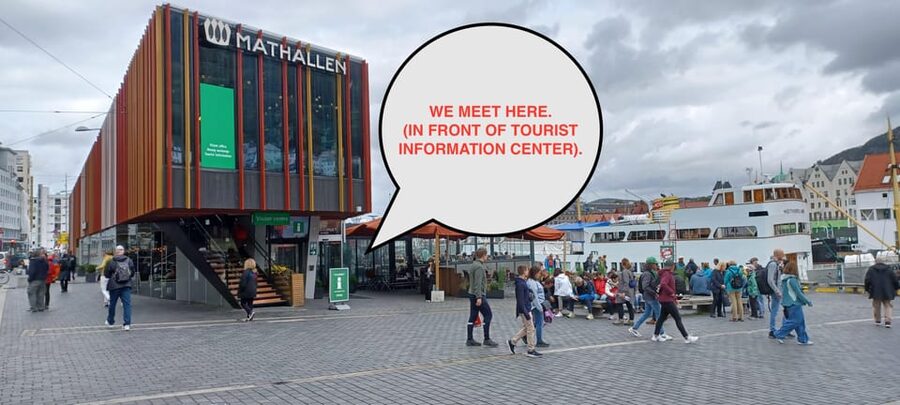 Bergen: Sightseeing Walking Tour with Ferry Ride - The ferry changes your view of Bergen