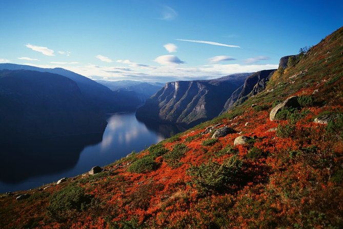 Bergen to Sognefjord Private Roudtrip with Cruise and Flasmbana - Flåm is lunch, free time, and a useful pause