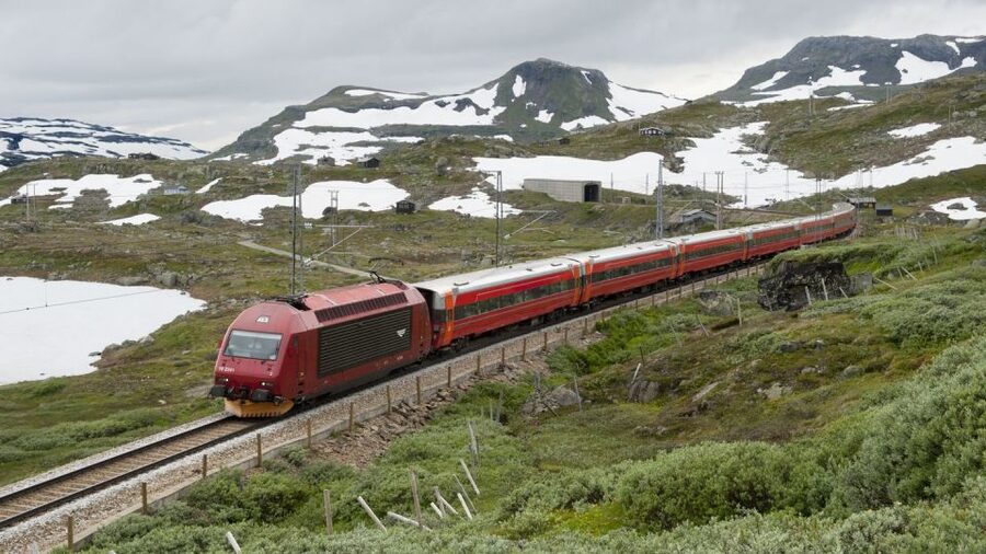 Bergen: Viking Village, Nærøyfjord Cruise & Flåm Railway - Who should book this tour?