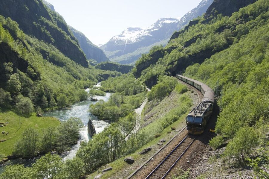 Bergen: Viking Village, Nærøyfjord Cruise & Flåm Railway - Riding the Flåm Railway to Myrdal