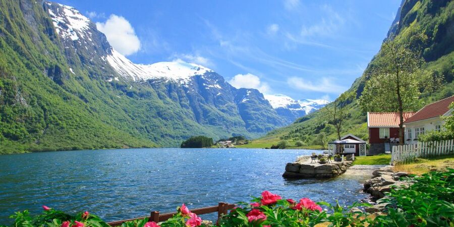 Bergen: Viking Village, Nærøyfjord Cruise & Flåm Railway - What the $418 price includes
