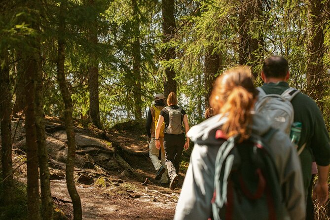 Best View of the Oslofjord Hike - Why Vettakollen makes a fine first hike in Oslo