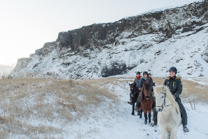 Black Sand Beach Horse Riding Tour from Vik - What the guides add to the experience