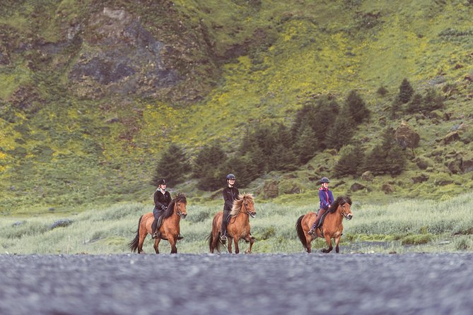 Black Sand Beach Horse Riding Tour from Vik - Who can ride, and who should choose something else