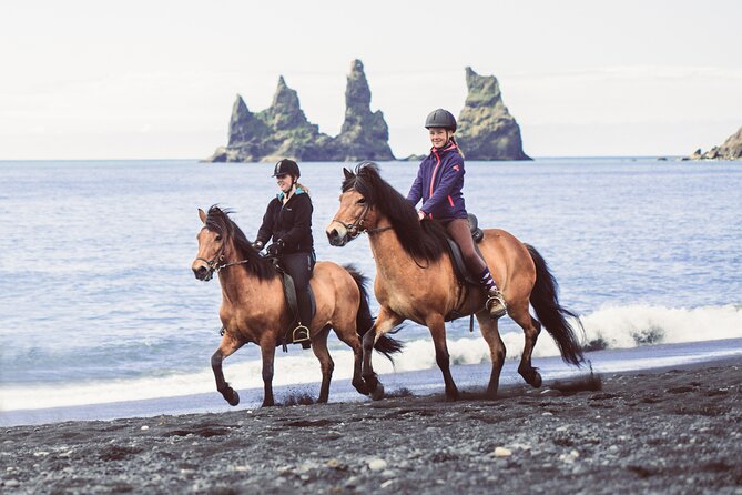 Black Sand Beach Horse Riding Tour from Vik - Is the $133 price good value?