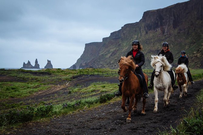 Black Sand Beach Horse Riding Tour from Vik - Why Icelandic horses make this ride different