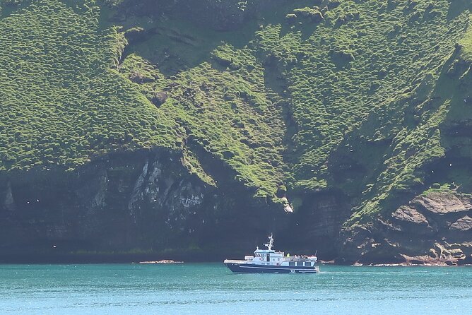 Boat Tour in Vestmannaeyjar - Puffins, seabirds, and the limits of wildlife viewing