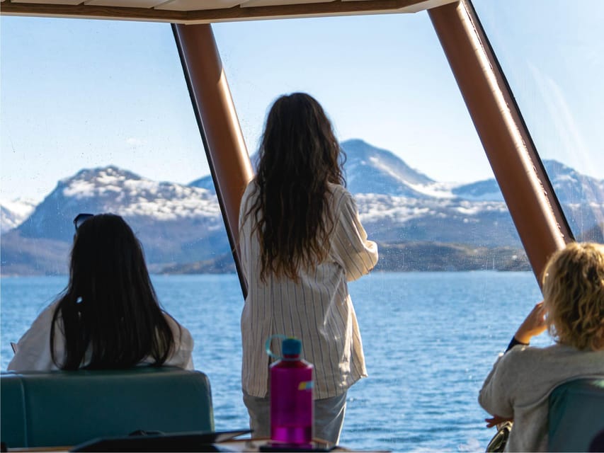 Bodø: Beiar Fjord & Saltstraument Cruise - Practical advice for a smoother outing