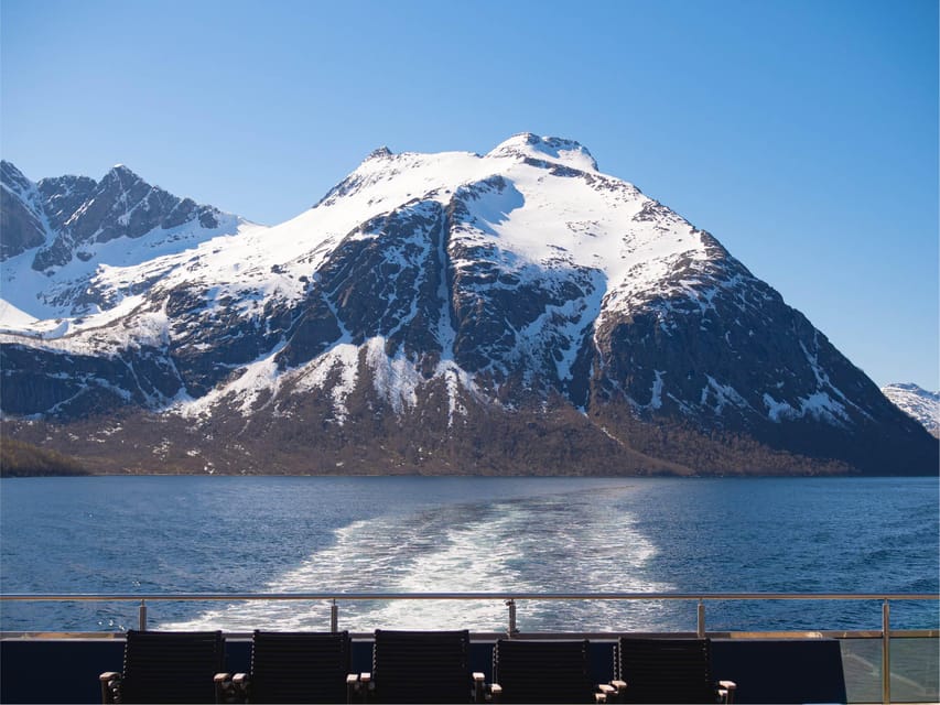 Bodø: Beiar Fjord & Saltstraument Cruise - Saltstraumen brings speed and force
