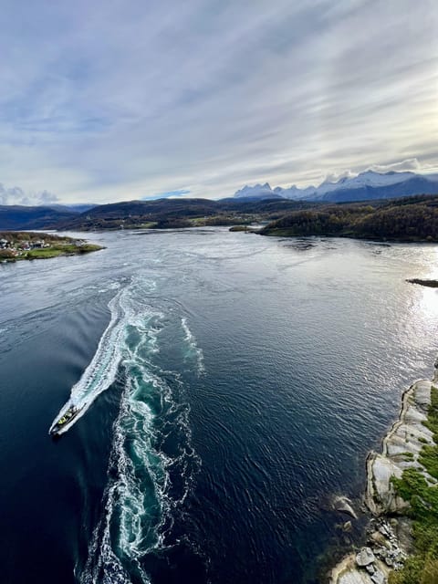 Bodø: Saltstraumen RIB Safari - Key points before you book