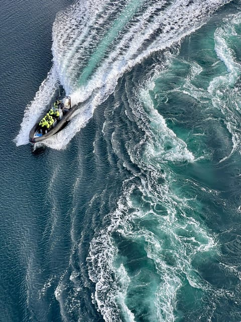 Bodø: Saltstraumen RIB Safari - Why Saltstraumen is worth the boat ride
