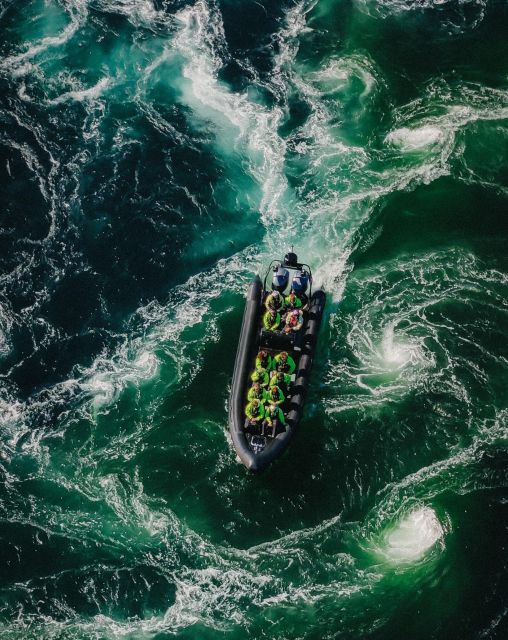 Bodø: Saltstraumen Sea Eagle Trip by RIB - Key points at a glance