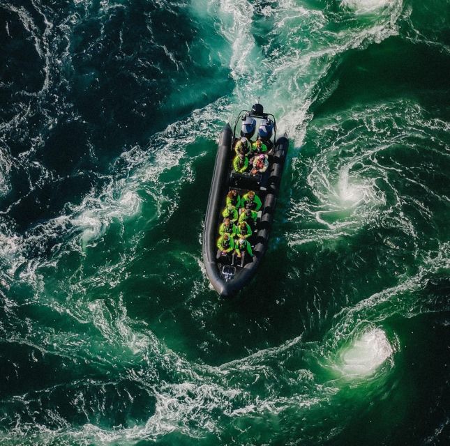 Bodø: Saltstraumen Sea Eagle Trip by RIB - Why Saltstraumen makes this trip special