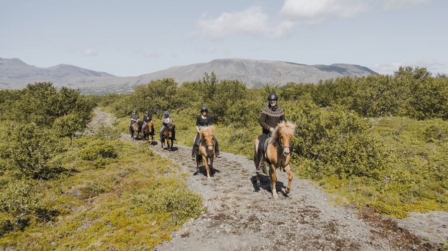 Borgarnes: Horseback Riding Tour with Prep Lesson - Key points to know before you book