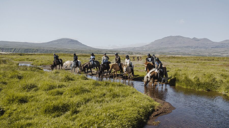 Borgarnes: Horseback Riding Tour with Prep Lesson - Starting at Hestaland, 15 minutes from Borgarnes