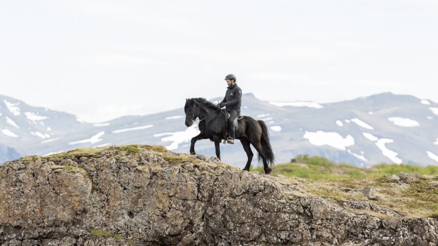Borgarnes: Horseback Riding Tour with Prep Lesson - What changes for confident riders