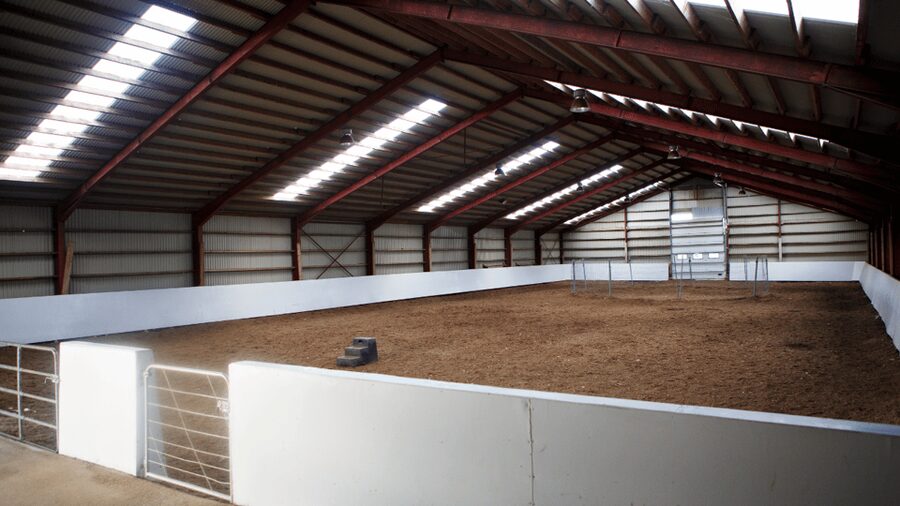 Borgarnes: Horseback Riding Tour with Prep Lesson - Weather, clothing, and comfort