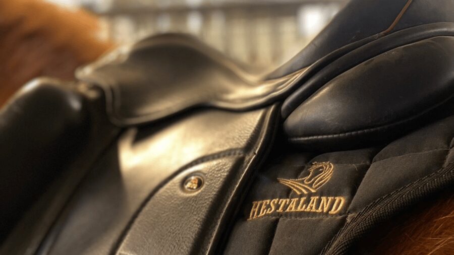 Borgarnes: Horseback Riding Tour with Prep Lesson - The indoor lesson makes this a good first ride