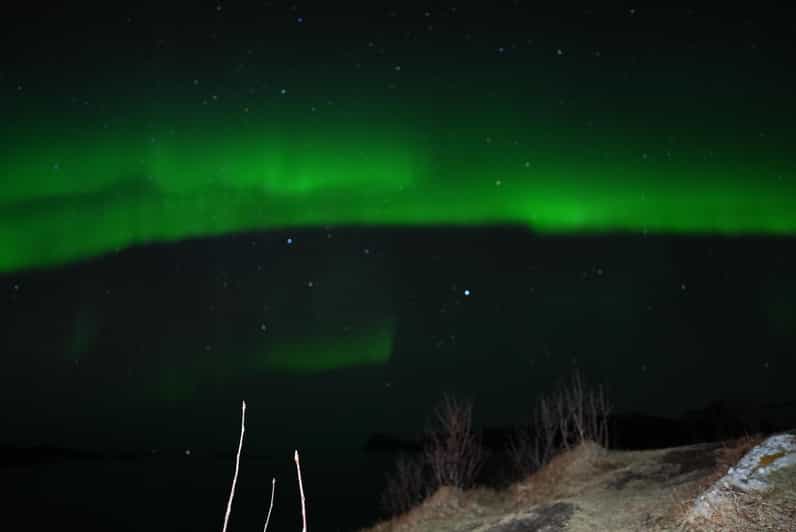 Chase the Magic of the Northern Lights in Tromsø Norway - Key points before you book