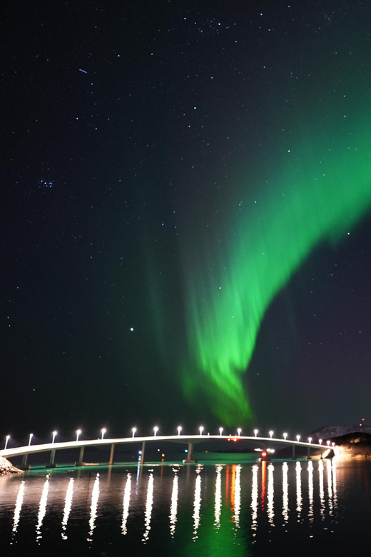 Chase the Magic of the Northern Lights in Tromsø Norway - The long search through Arctic darkness