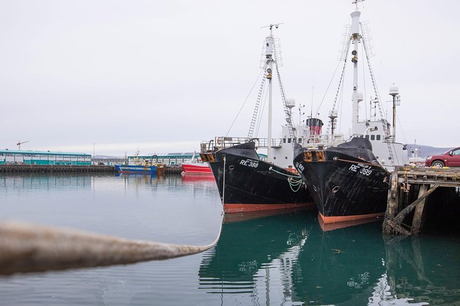 City Sightseeing Reykjavik Hop-On Hop-Off Bus Tour: 24 or 48-Hour - Museums and central streets near Lækjargata