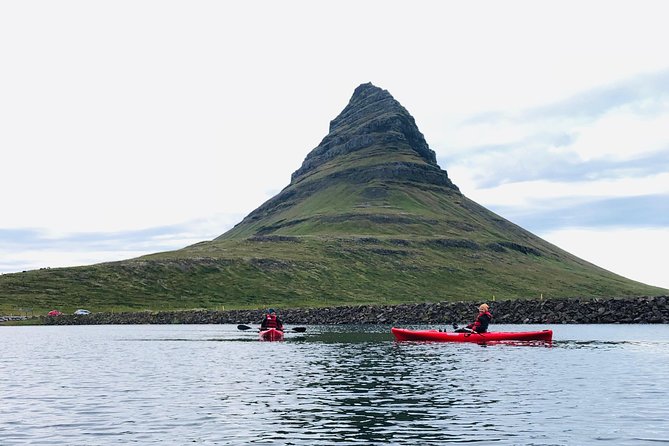 Classic Kayaking Adventure by Mt. Kirkjufell - Wildlife on the Water