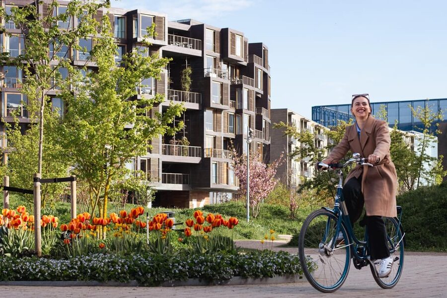 Copenhagen: Guided Architecture and Sustainability Tour - Blox and Lille Langebro: where old Copenhagen meets new design