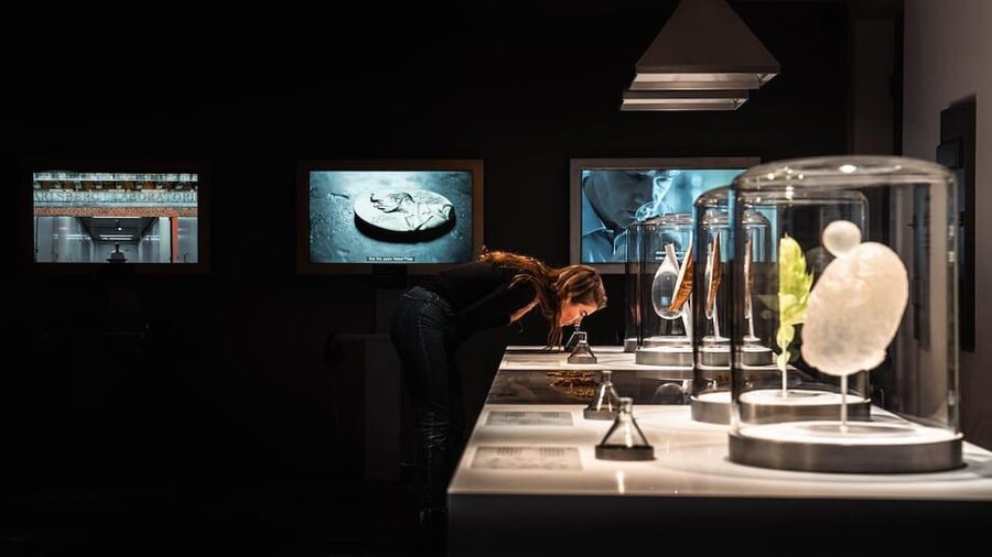 Copenhagen: Home of Carlsberg Experience Entry Ticket - The 22,000-bottle collection