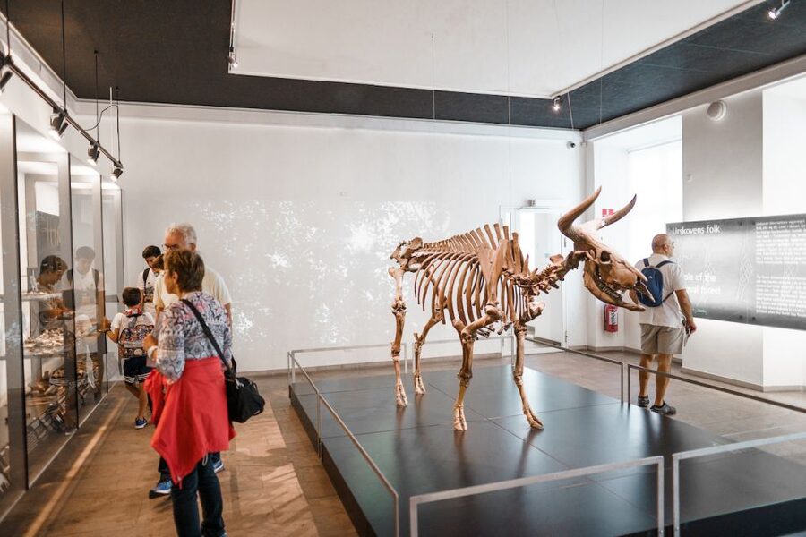 Copenhagen: National Museum of Denmark Entry Ticket - The Viking galleries and the Völva