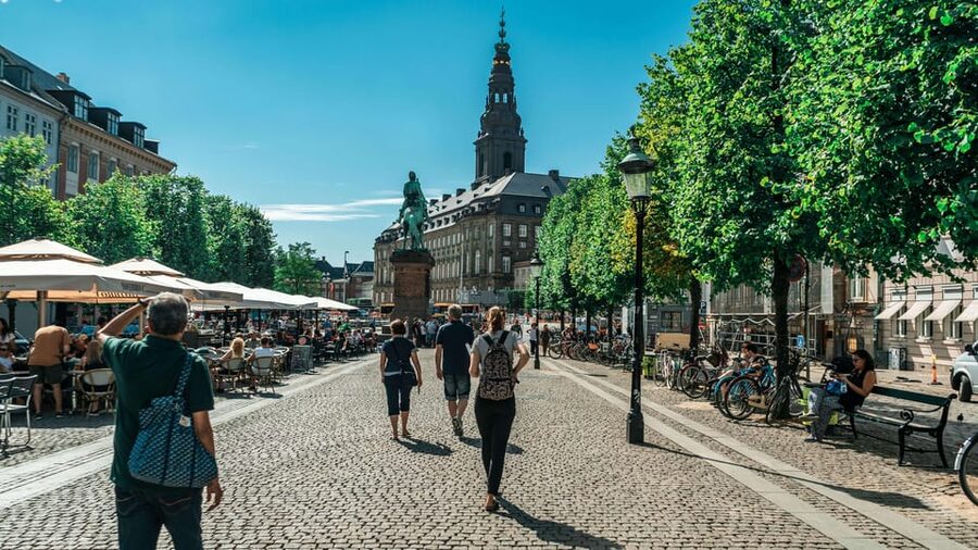 Copenhagen: Private Walking Tour - Christiansborg Palace and the working center of Denmark