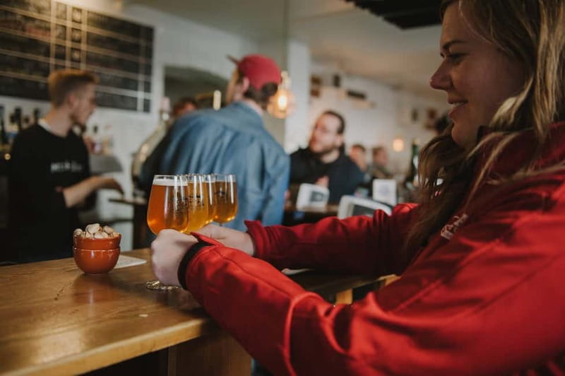 Copenhagen: Vesterbro Beer & Neighborhood Tour - Famous streets and a quieter side road