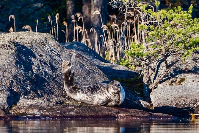 Cruise in Puumala by Lake Saimaa - Guide Arto and the value of a small group