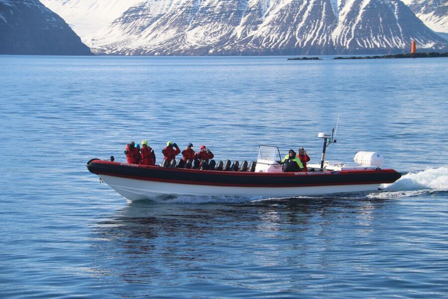 Dalvík: Whale Watching Speedboat Tour - Why the small group changes the experience