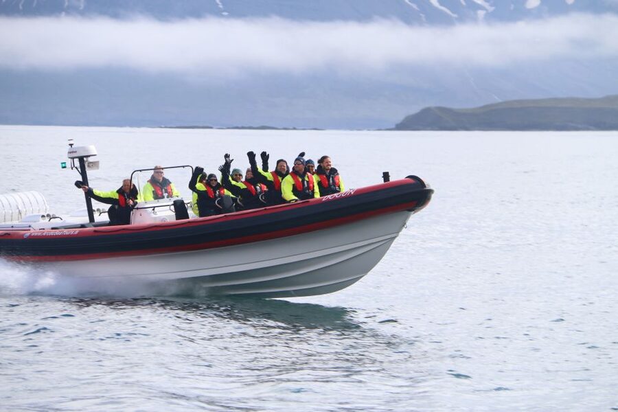 Dalvík: Whale Watching Speedboat Tour - The central 45 minutes: the best chance for whales and dolphins