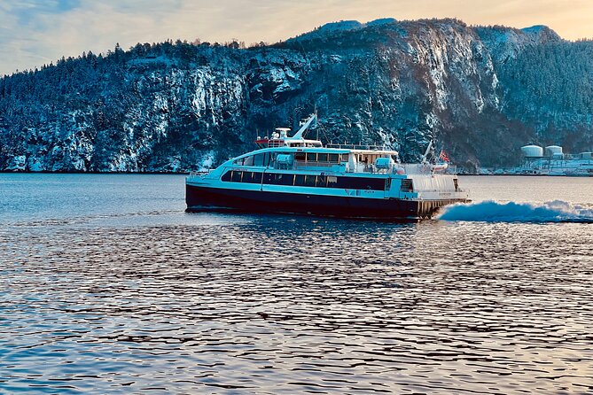 Discover Bergen on Foot and Boat - The guides make the short schedule work