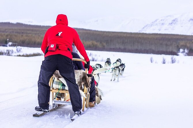 Dog Sledding Tour near Akureyri - Pickup and timing around Akureyri