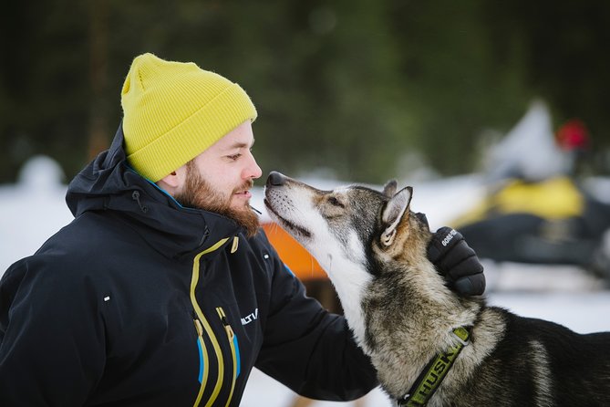 Dogsled Adventure Kiruna - Price, value, and the private-tour confusion
